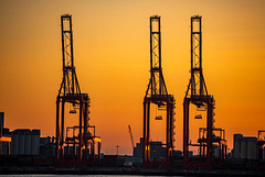 Container port cranes at dawn