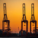 Container port cranes at dawn