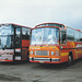 Mulleys F92 KEC (F945 RNV, A19 HWD) and de Zigeuner, Belgium CJP 768 at Showbus, Duxford – 26 Sep 1999 (423-31)