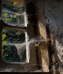 Au premier plan le garde-manger et en toile de fond la nature ..
