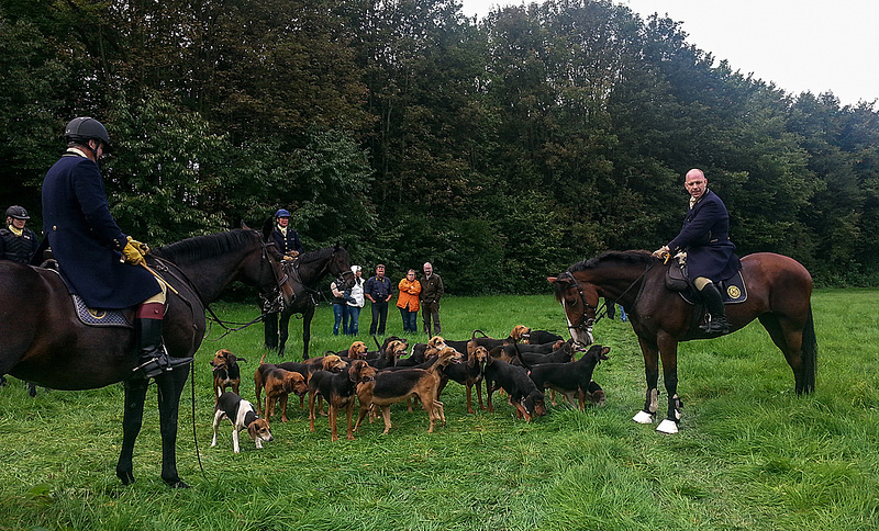 20150926 153402Hw [D~SHG] Schleppjagd, Hundmeute,  Bückeburg