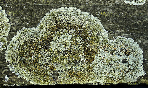 DSC08340