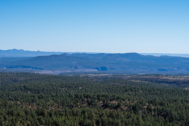 Valles caldera, a 13 mile round caldera in North New Mexico