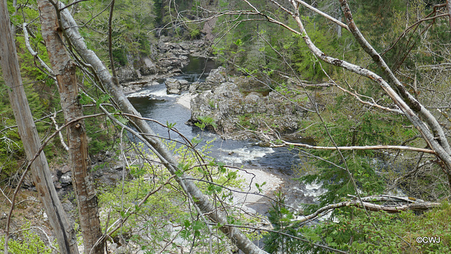 Views along the edge of the River Findhorn from the Sluie Walks' Loops on the Earl of Moray's Estate.