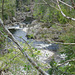 Views along the edge of the River Findhorn from the Sluie Walks' Loops on the Earl of Moray's Estate.