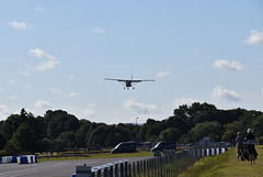 fibsep232023 (1013)