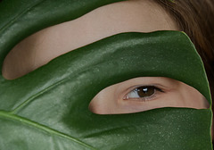 Camouflage