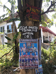 Goa party