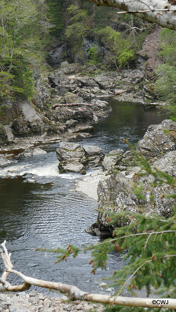 Views along the edge of the River Findhorn from the Sluie Walks' Loops on the Earl of Moray's Estate.