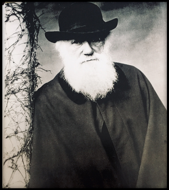 Darwin at age of seventy-two