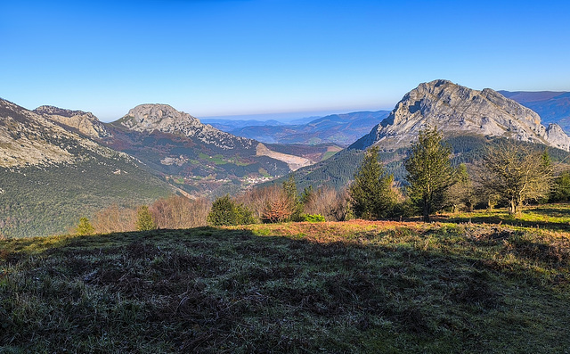 Urte Berri On  -  Feliz Año Nuevo