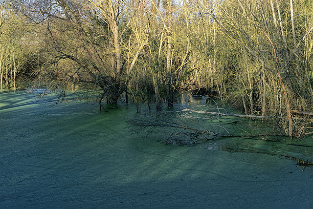 Crue de La Loire .