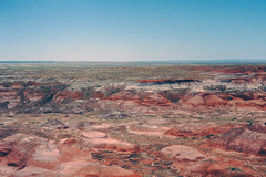 Painted Dessert