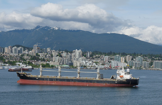 Cargo Vessel 'Argos'