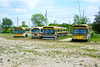 Canada 2016 – Halton County Radial Railway – Buses