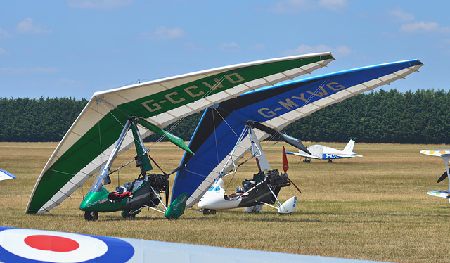 Microlight pair