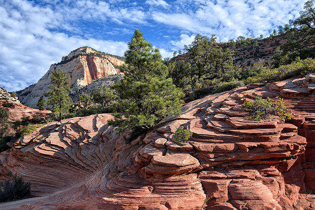 Zion F612473_4