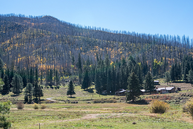 Valles caldera2