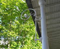 A flower for everyone