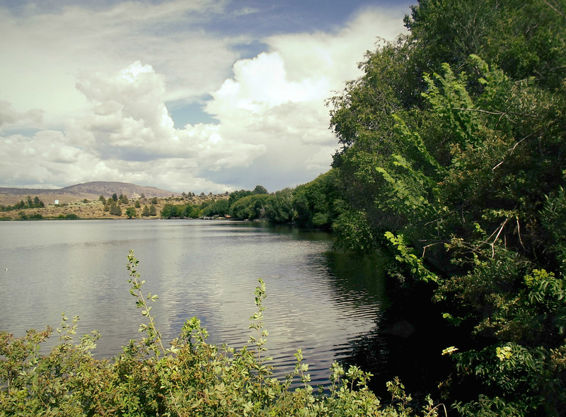 Along the shore