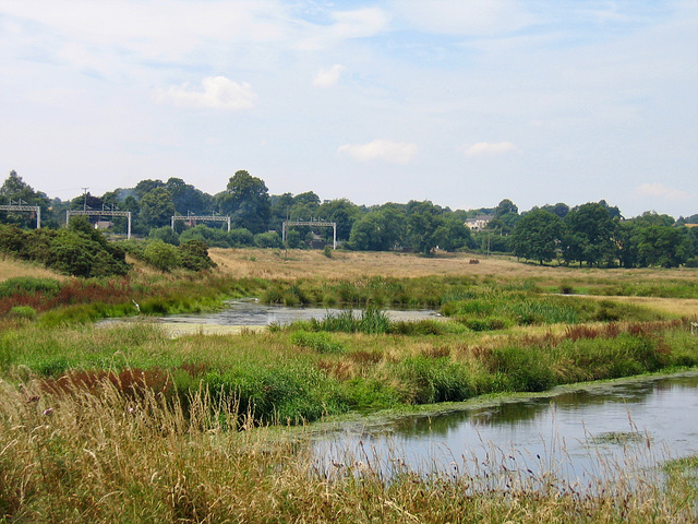 The River Sow from the Milford Aqueduct.looking towards Milford Lodge