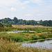 The River Sow from the Milford Aqueduct.looking towards Milford Lodge