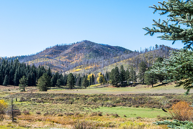 Valles caldera3