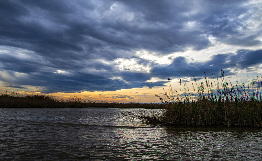 Atardecer en la Albufera