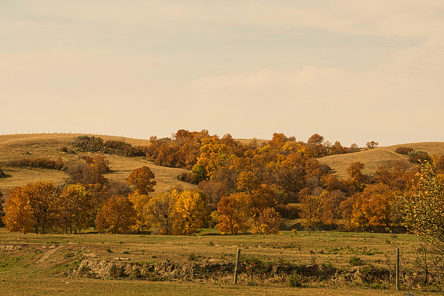 coulee colours