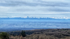 Pyrenees