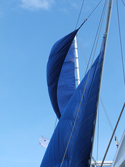 Phillipines Siren Catching the Wind