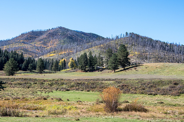 Valles caldera4