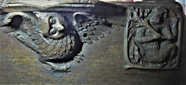 boston church,lincs (120) c14 misericord owl wildman