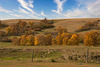coulee colours 2
