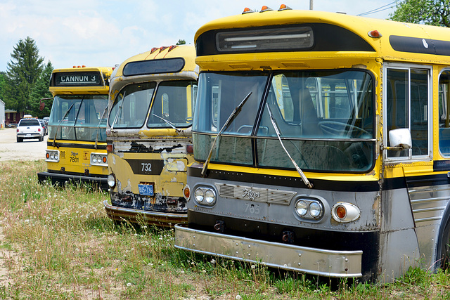 Canada 2016 – Halton County Radial Railway – Buses