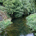 River Mease from the bridge at Harlaston
