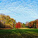 Autumn view at Nachtegalenpark