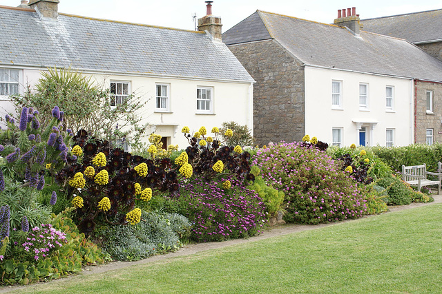 Flowers In Hugh Town