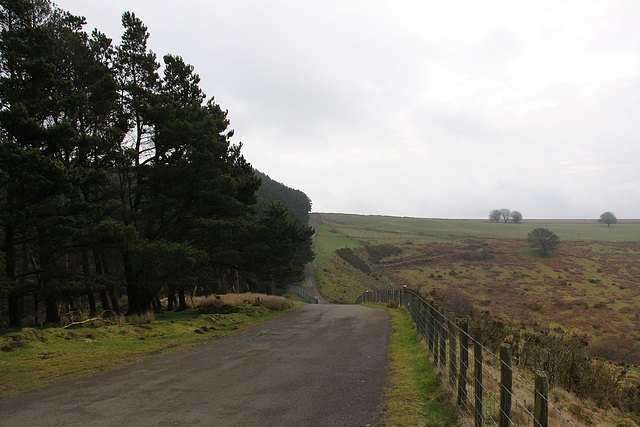 Mountain Road