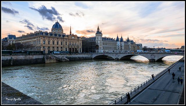 Vista de la "Ile de la Cité" desde la margen derecha.