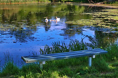Happy Bench Monday!