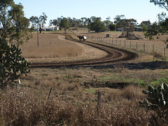 From the Train P7126185