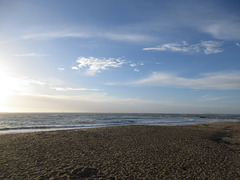 ce matin grande douceur 16.5 degrés