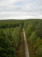 Les quatre horizons. Nord.