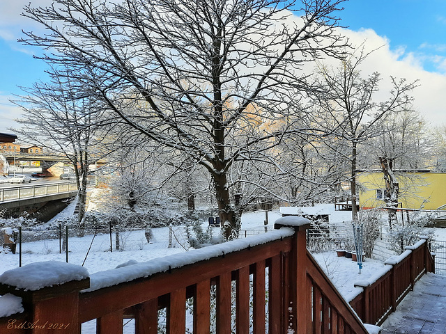 Garten im Schnee. Happy Fence Friday!