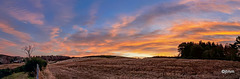 Magic early morning skies