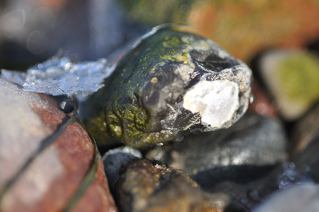 Valentin on the (ice)rocks