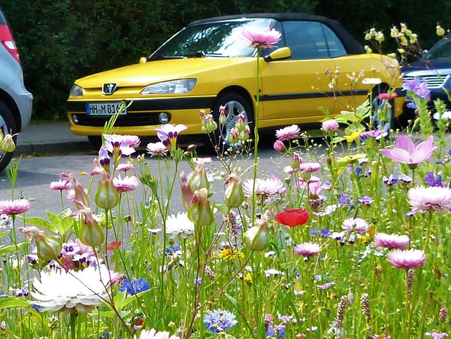 Peugeot 306 Cabrio