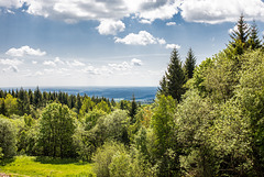 Rhön - 20190530