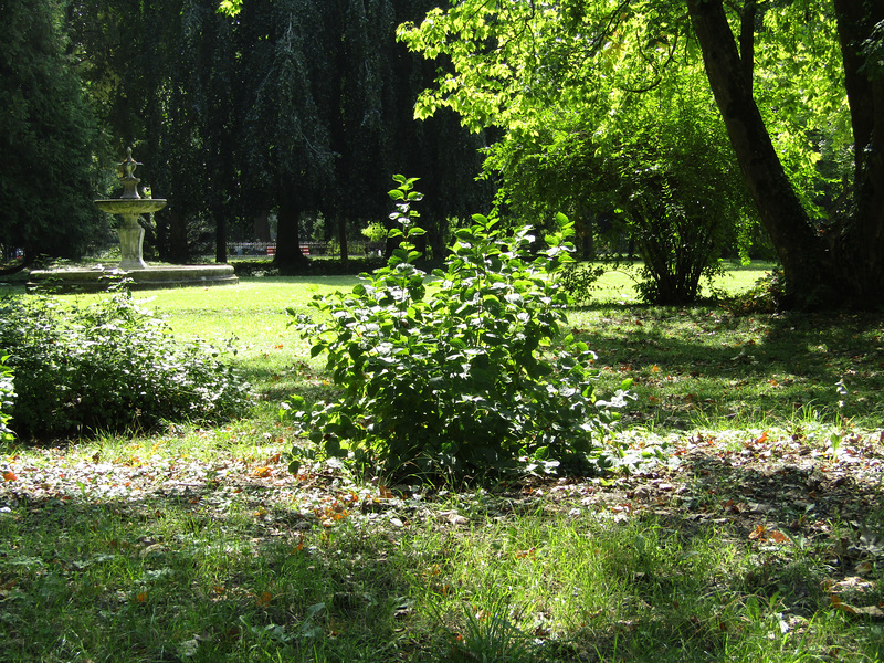 Fürstlicher Park